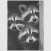 Papier Mousseline Decoupage 3 Raccoons Peeking Out Barn Door (Recto)