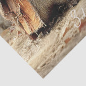 Papier Mousseline Découpage 3 Tricksters & Traitements de Forêt de R (Détail)