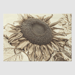 Papier Mousseline Découpage à l'ancienne de Sunflower Sepia Tone Vin