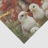 Papier Mousseline Découpage Agricole rustique Scène Rooster Chicks G (Détail)
