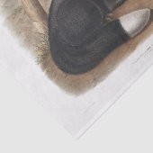 Papier Mousseline Découpage américaine Black ou Silver Fox (Détail)