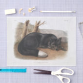 Papier Mousseline Découpage américaine Black ou Silver Fox (Artisanat)