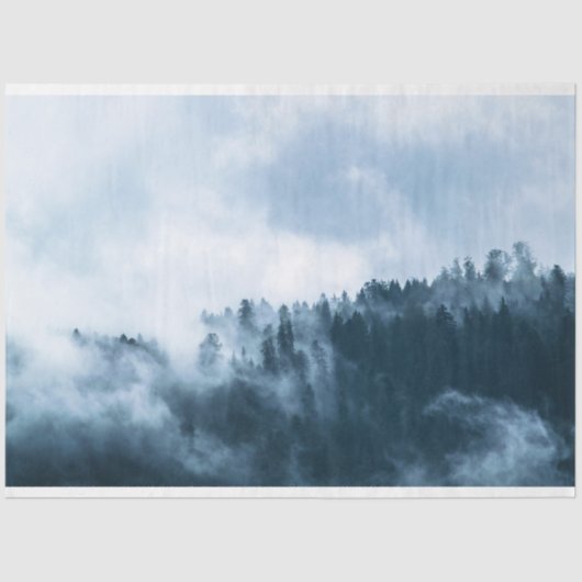 Papier Mousseline Découpage Arrière - plan de brouillard forestier (Recto)