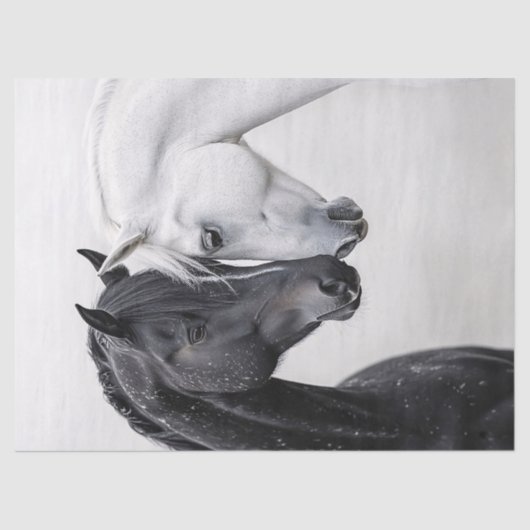 Papier Mousseline Découpage Art Cheval Stallion Noir et Blanc (Recto)