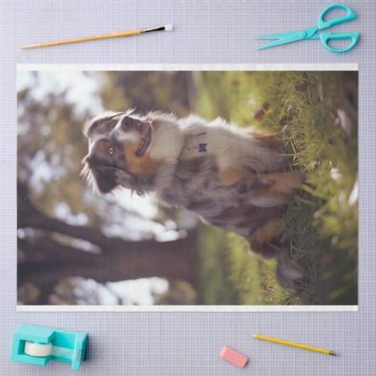 Papier Mousseline Decoupage Australian Shepherd Buddy (Artisanat)