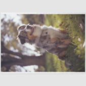 Papier Mousseline Decoupage Australian Shepherd Buddy (Recto)