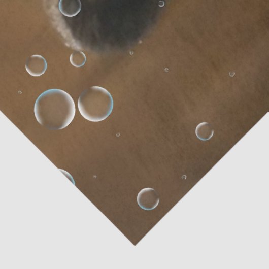 Papier Mousseline Découpage Bain d'ours noir bulles Canard en caoutc (Détail)