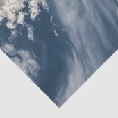 Papier Mousseline Découpage Baleine tueuse Orca Icy Waters (Détail)