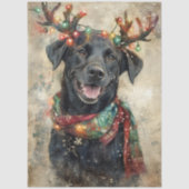 Papier Mousseline Decoupage Black Lab Christmas Lights Antlers (Recto)