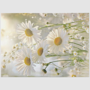Papier Mousseline Découpage Blancs marguerites Cadre naturel