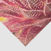 Papier Mousseline Découpage botanique rouge Plante de Cactus success (Détail)