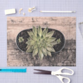 Papier Mousseline Découpage botanique vert vintage rustique succulen (Artisanat)