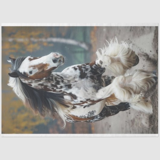 Papier Mousseline Découpage Brown Black Clydesdale Horse (Recto)