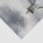 Papier Mousseline Découpage Cabine Stormwatch sur Irlande Seashore (Détail)