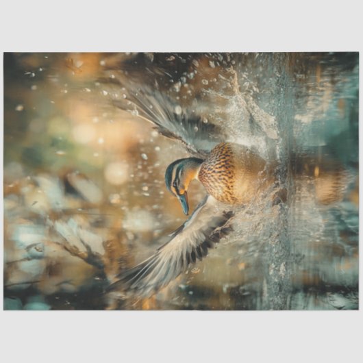 Papier Mousseline Découpage Chasse Mallard Canard Atterrissage (Recto)