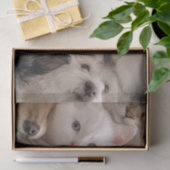 Papier Mousseline Découpage Chats et Chiens Whimsical Chat & Chiens  (Cadeau)