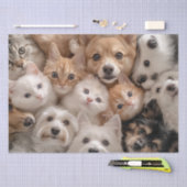 Papier Mousseline Découpage Chats et Chiens Whimsical Chat & Chiens  (Artisanat)