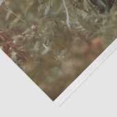 Papier Mousseline Découpage Chats français dans un champ de fleurs (Détail)