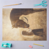 Papier Mousseline Découpage Cheval et fille en campagne (Artisanat)