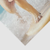 Papier Mousseline Découpage Chiens-taureaux surfant journées chaudes (Détail)