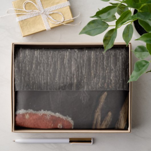 Papier Mousseline Decoupage Cowboy Santa & Rudolph Peeking  (Cadeau)