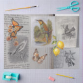 Papier Mousseline Découpage d'antiquités et de papillons (Artisanat)