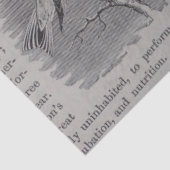 Papier Mousseline Découpage d'antiquités et de papillons (Détail)