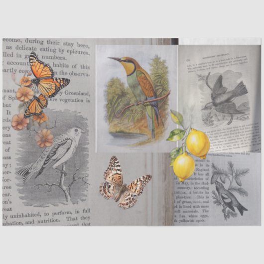 Papier Mousseline Découpage d'antiquités et de papillons (Recto)