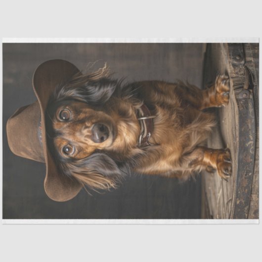 Papier Mousseline Découpage Dashaud la canine Cowboy (Recto)