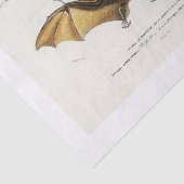 Papier Mousseline Découpage de chauve-souris d'Halloween (Détail)