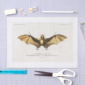 Papier Mousseline Découpage de chauve-souris d'Halloween (Artisanat)