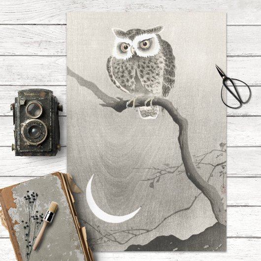 Papier Mousseline Découpage de chouette Vintage