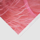 Papier Mousseline Découpage de glamour à plumes roses (Détail)