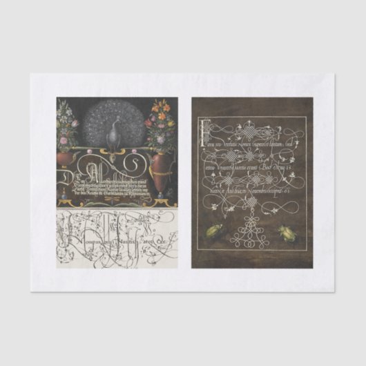 Papier Mousseline Découpage de jardin d'insectes floraux de paon (Recto)