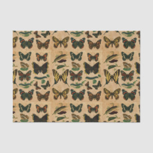 Papier Mousseline Découpage de la collection de papillon d'insectes