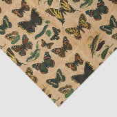 Papier Mousseline Découpage de la collection de papillon d'insectes  (Détail)