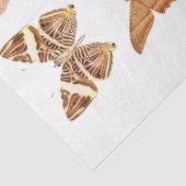 Papier Mousseline Découpage de la collection de papillons orange or (Détail)