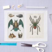 Papier Mousseline Découpage de la collection Halloween (Artisanat)