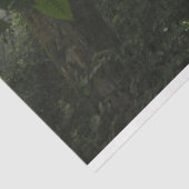 Papier Mousseline Découpage de la forêt humide (Détail)