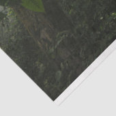 Papier Mousseline Découpage de la forêt humide (Détail)