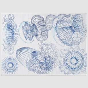 Papier Mousseline Découpage de la méduse bleue