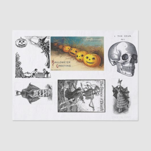 Papier Mousseline Découpage de la ménagerie d'Halloween (Recto)