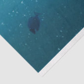 Papier Mousseline Découpage de la tortue de mer (Détail)