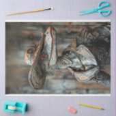 Papier Mousseline Découpage de l'alligator habillé avec élégance de (Artisanat)