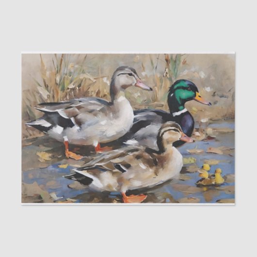 Papier Mousseline Découpage de l'aquarelle Mallard Ducks (Recto)