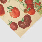 Papier Mousseline Découpage de l'éphémère aux fraises rouges (Détail)