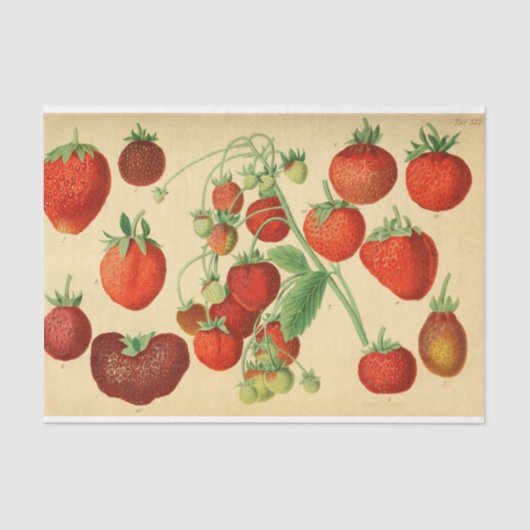 Papier Mousseline Découpage de l'éphémère aux fraises rouges (Recto)