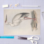 Papier Mousseline Découpage de l'Ephémère de cigogne d'oiseaux (Artisanat)