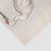 Papier Mousseline Découpage de l'Ephémère de cigogne d'oiseaux (Détail)