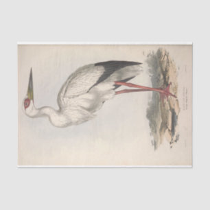 Papier Mousseline Découpage de l'Ephémère de cigogne d'oiseaux